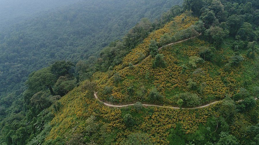 Hanoi Mountain Bike Tour Ba Vi National Park 1 Day